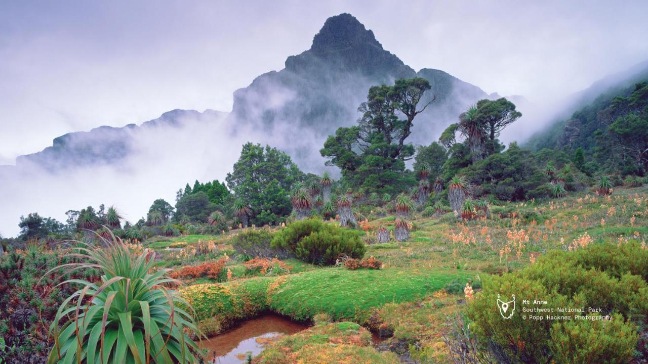 Maydena Mountain Cabins المظهر الخارجي الصورة