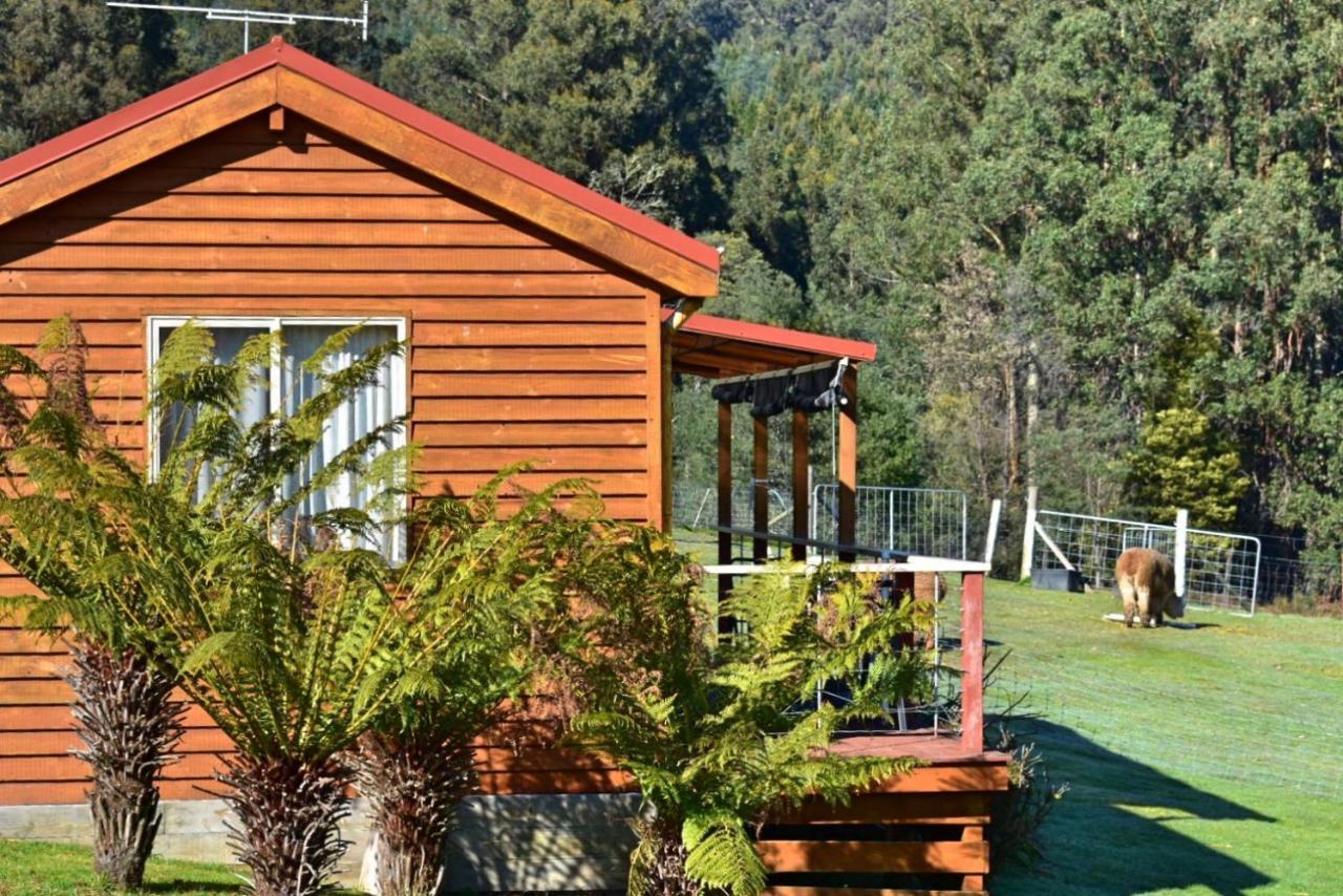 Maydena Mountain Cabins المظهر الخارجي الصورة