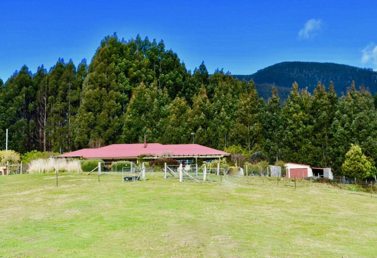 Maydena Mountain Cabins المظهر الخارجي الصورة